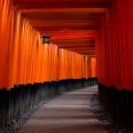 gray concrete pathway between red and black pillars