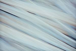 abstract photograph of a white and blue abstract painting